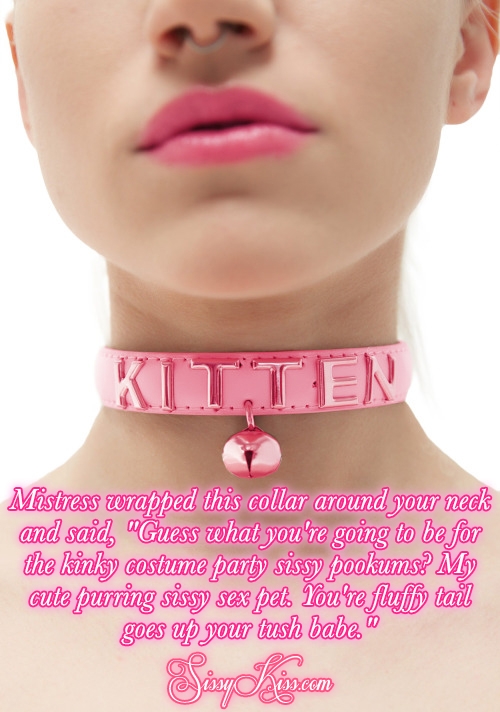 Mistress's Sissy Kitten, kitten,kitty,sex pet, Feminization,Sex Toys,Dominating Mistress Or Master,Sissy Fashion,Gay Orientation,Dolled Up