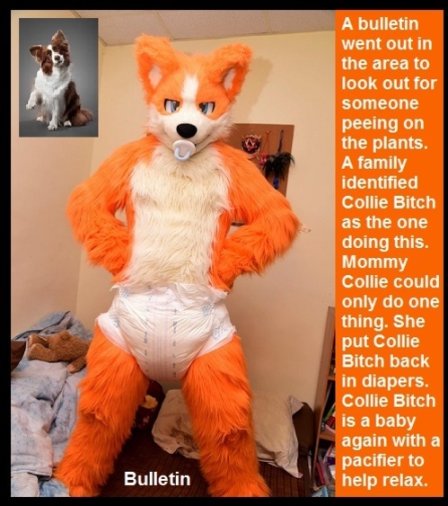 Furry Fun - Watch out for those Furries! They have been seen in the neighborhood causing problems., Furry,Diaperfur,Wolf,Cat,Collie, Adult Babies,Feminization,Identity Swap,Sissy Fashion