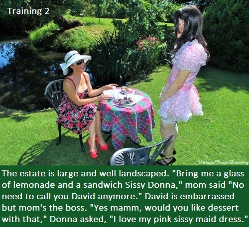 Training 1 - 2 - A divorce leads to David becoming Donna., Sissy,Servant,Dominated, Feminization,Sissy Fashion,Identity Swap