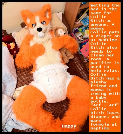 Plan 1 - 3 - A story for Sissybabygirljessica. Bonus cappies for 3 new friends., Collie Furry,Diaper,Student,College,Panty, Adult Babies,Feminization,Identity Swap,Sissy Fashion