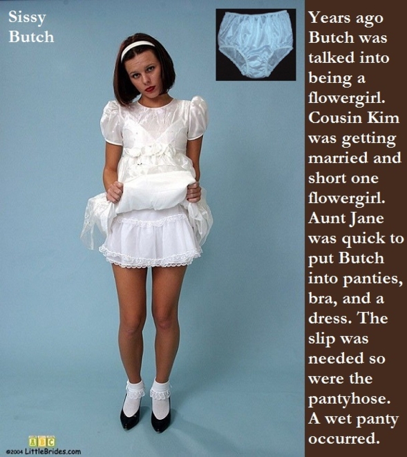 Diapered Sissy 2 - More captions about site members wearing dresses and diapers., Diaper,Panty,Aunt,Mommy, Adult Babies,Feminization,Identity Swap,Sissy Fashion