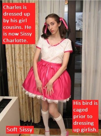 SEVEN - I posted 7 new cappies, 4 about leotards and 3 various short stories., Spanking,Domination,Sissy, Feminization,,Diaper Lovers,Humiliation