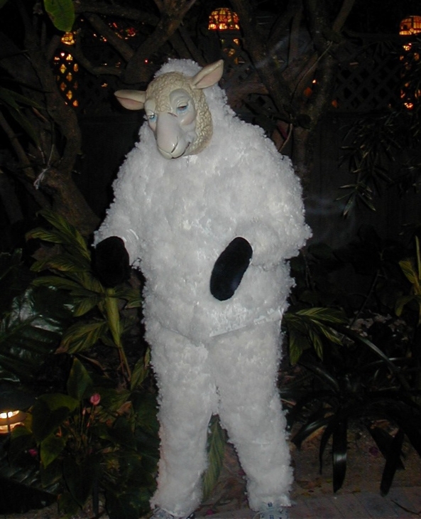 Bo Peep - Li'l Bo Peep. Found a sheep. Then took her for a walk, along the street., Peep Sheep Street, Feminization,Pansexual Orientation,Body Suits,Other Body Modifications,Fairytale
