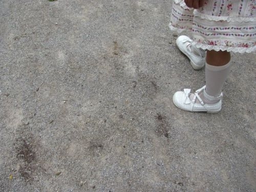 Posted July 10th, 2011 ~ 6:52 pm