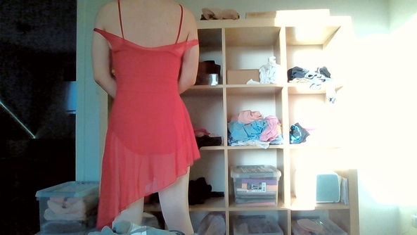 expensive leotard 5, ballet,leotard, Sissy Fashion,Feminization
