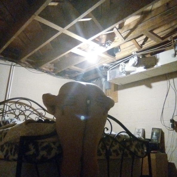 Exposed Whore - Clint Hanly Beavertown, Pa, 5704152124, Exposed,Sissy,Faggot,feminization,Cock Sucker, Feminization,Pansexual Orientation,Masterbation,Bisexual Orientation,Sissy Fashion,Dominating Mistress Or Master
