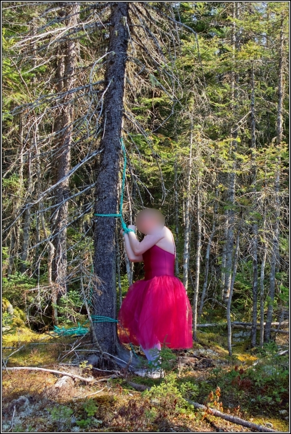 Forest ballerina 2 - Trapped - Part 2, bondage,ballet,ballerina,sissy,forest, outdoor,tutu,romantic,tied, Body Suits,Sissy Fashion,Fairytale,Bondage