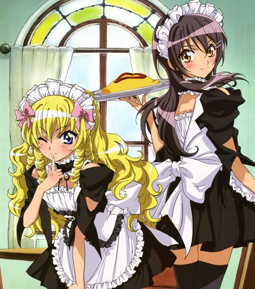 trap test - which one is the trap?, trap,sissy, Feminization,Gay Orientation,Dolled Up,Sissy Fashion