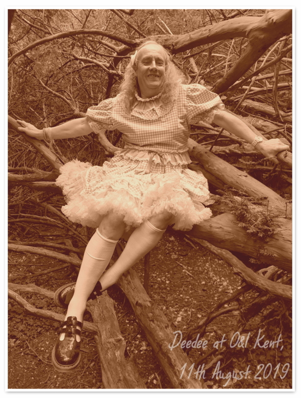 Deedee becomes a flower fairy - I tried something new and added some effects to my pics, Deedee,fairy,sepia,, Magical Change,Sissy Fashion,Technological Transformation