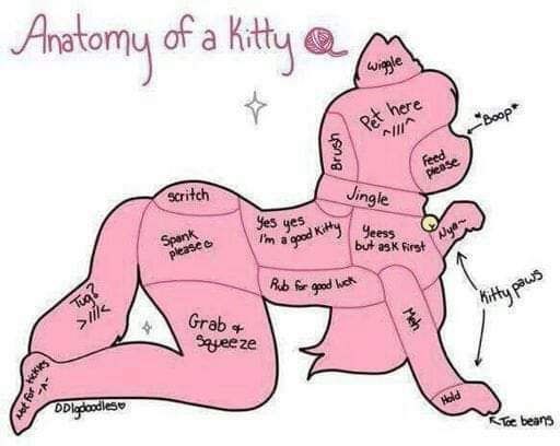 Anatomy of a kitty - Just a fun pose I did a while back, Animegao kigurumi, Dolled Up,Feminization,Body Suits