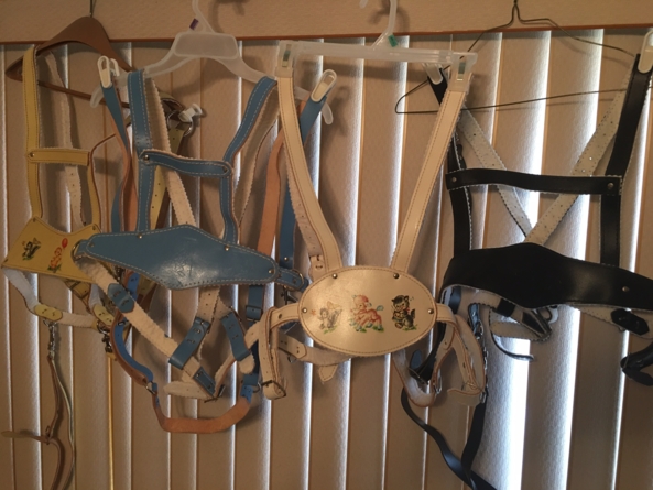Baby safety harness - Always good to have a good selection of harnesses, to match any outfit, and need., Baby safety harness,baby reins,baby leash, Adult Babies,Sissy Fashion,Diaper Lovers