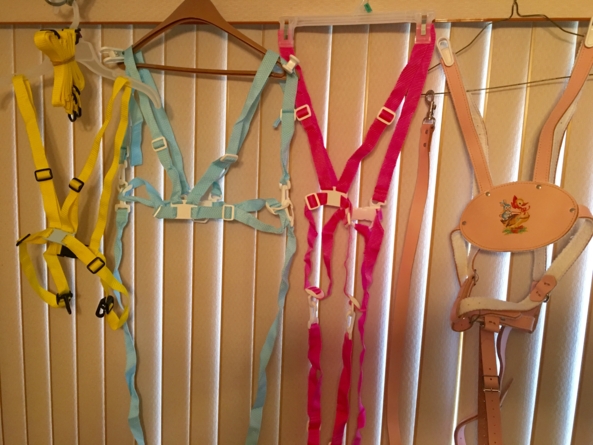 Baby safety harness - Always good to have a good selection of harnesses, to match any outfit, and need., Baby safety harness,baby reins,baby leash, Adult Babies,Sissy Fashion,Diaper Lovers